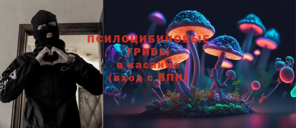 бошки Алексеевка