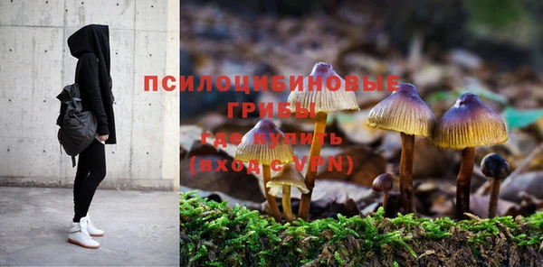 бошки Алексеевка