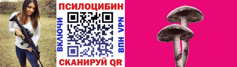 что такое наркотик  Каргат  mega tor  Псилоцибиновые грибы Psilocybine cubensis 